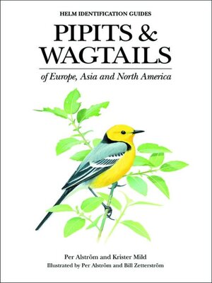 cover image of Pipits and Wagtails of Europe, Asia and North America